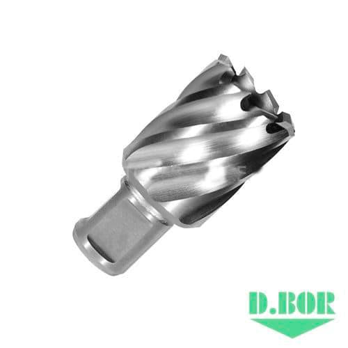 Сверло по металлу, корончатое с хв. Weldon 19 мм (3/4''), HSS-Co, 31,0*30/55 
(арт. 474310102d) "D.BOR"