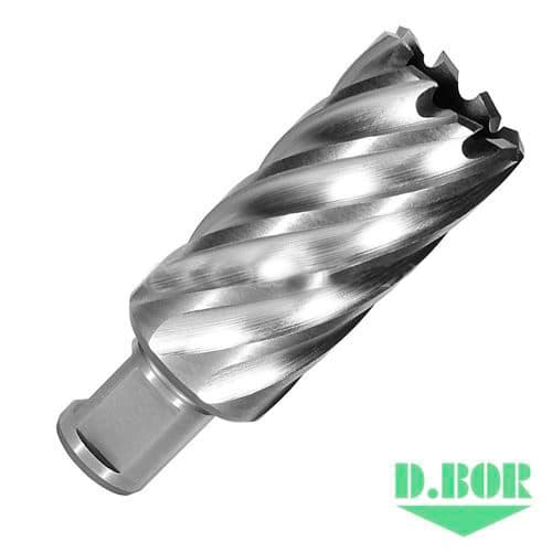 Сверло по металлу, корончатое с хв. Weldon 19 мм (3/4''), HSS-Co, 31,0*55/70 
(арт. 474310202d) "D.BOR"