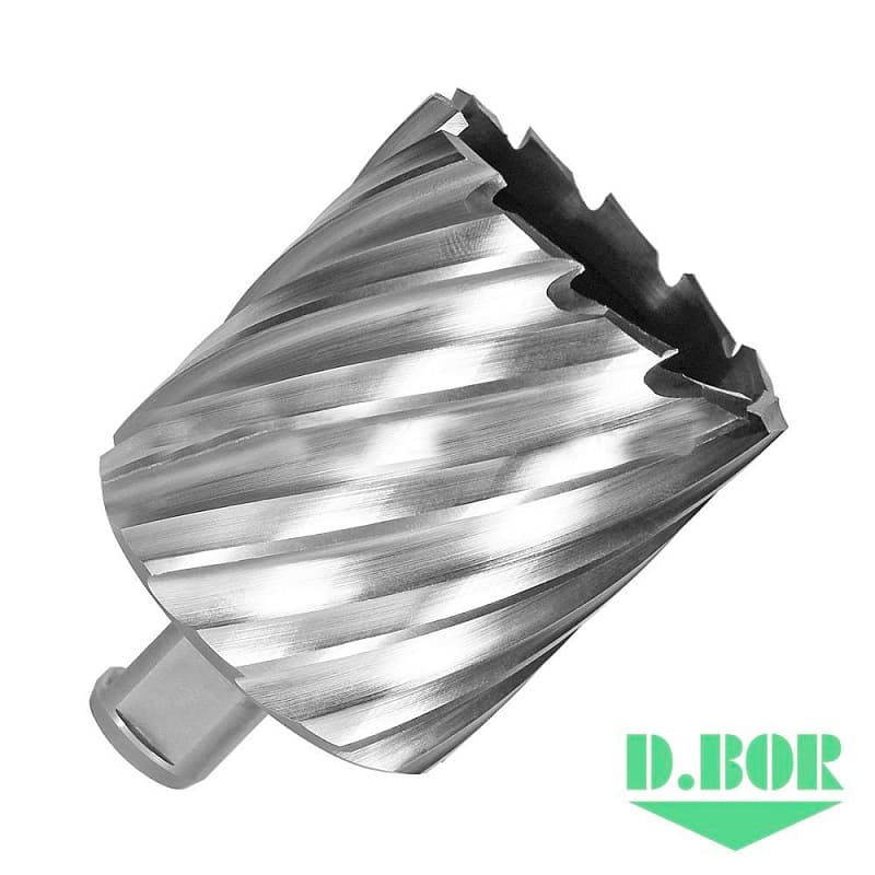 Сверло по металлу, корончатое с хв. Weldon 19 мм (3/4''), HSS-Co, 60,0*55/70 
(арт. 474600202d) "D.BOR"